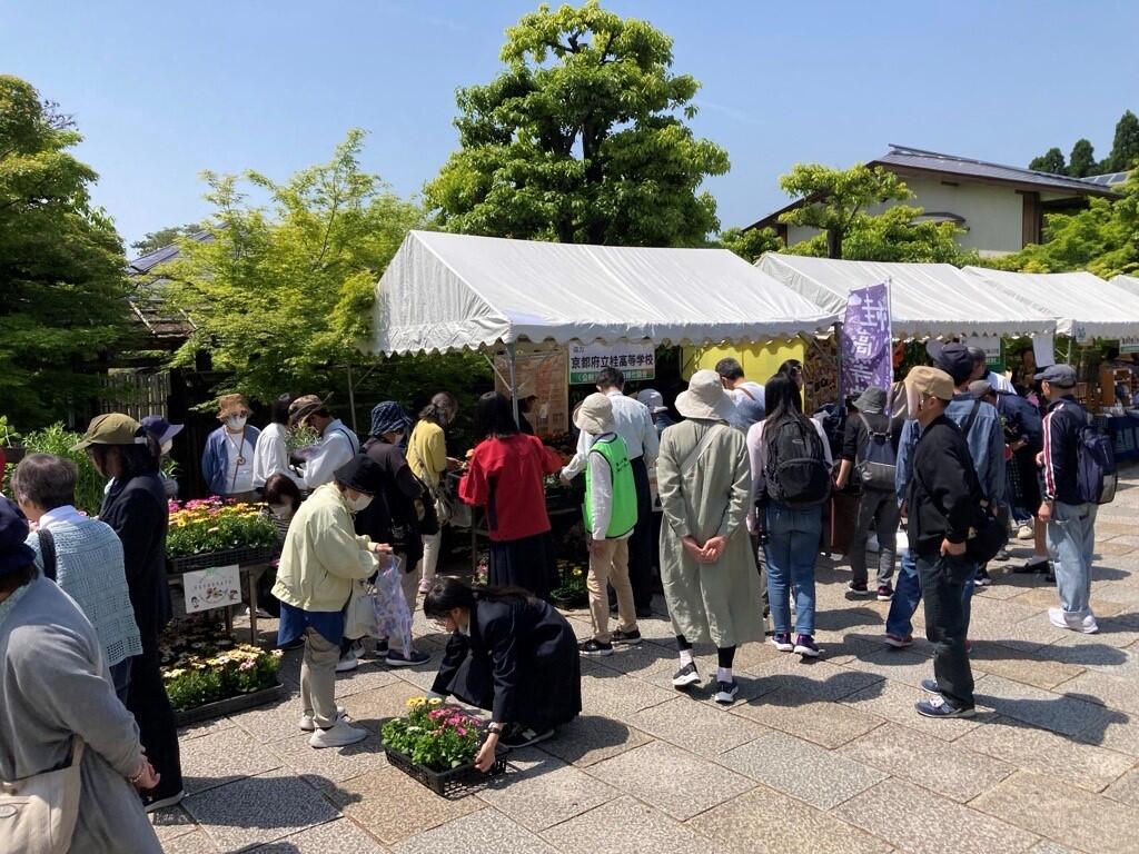 京都府立桂高等学校 | 学科紹介 : 第2研究群